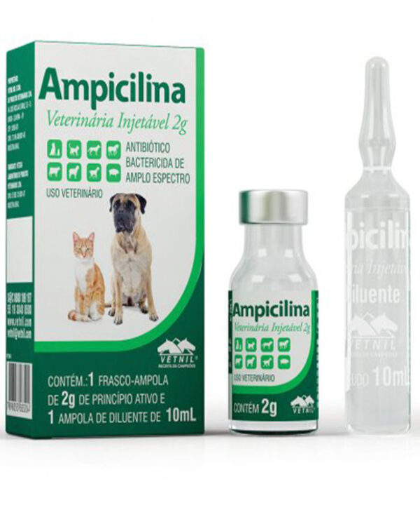 AMPICILINA INJETAVEL 2 GR 10 ML
